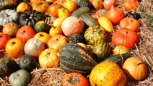 GastroWeekend | De la vinuri sofisticate și cafele de specialitate la streetfood și sarmale-vedetă. Ce pot face iubitorii de gust bun în București și în țară, în primul weekend din octombrie