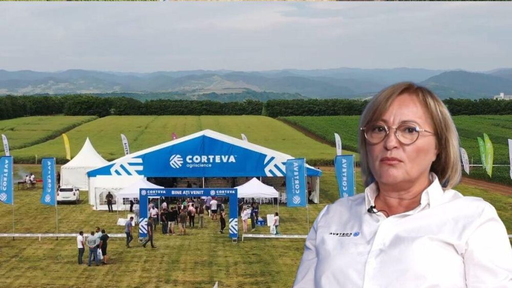 Video | Cum aleg fermierii români cei mai buni hibrizi, cu producții de 22 tone, la hectar/ Maria Cîrjă (Corteva): „Este greu, în România, să spui că există un hibrid care se poate cultiva de la Constanța la Maramureș” 