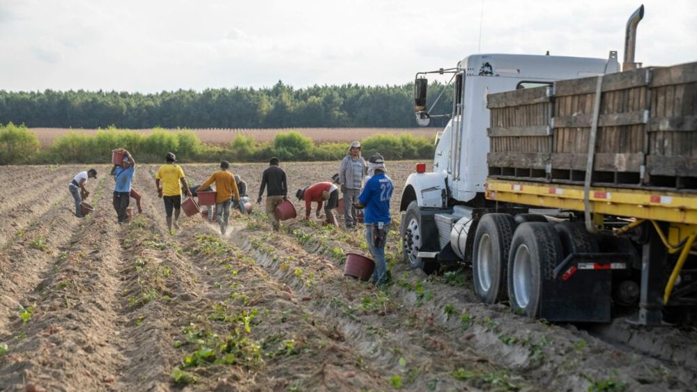 În 2023 aproape 12% dintre persoanele ocupate au lucrat în ramurile agricole