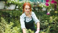 Cum să-ți pregătești grădina înainte de venirea toamnei / Opt lucrări de făcut până la sfârșitul lui august