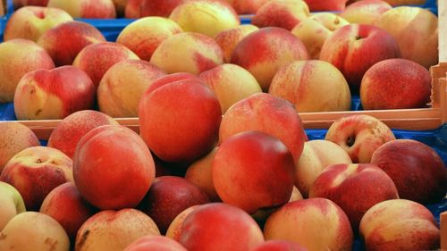 Piersici din Egipt, depistate cu reziduuri de pesticide peste nivelul legal / România a transmis rezultatele analizelor în Sistemul Rapid de Alertă pentru Alimente și Furaje