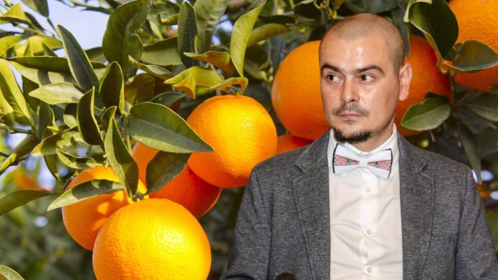 Istoria portocalelor în România, din cele mai vechi timpuri până la campioni la exporturi în comunism. Nici acum nu suntem departe, datorită portului Constanța, unde ajung multe nave încărcate cu banane, citrice, nuci exotice / Mărturii din Iașul interbelic: „Mai fiecare copil purta în buzunar o portocală, de la bunicul, pe care, din când în când o mirosea, o ducea la gură ca într-un sărut”