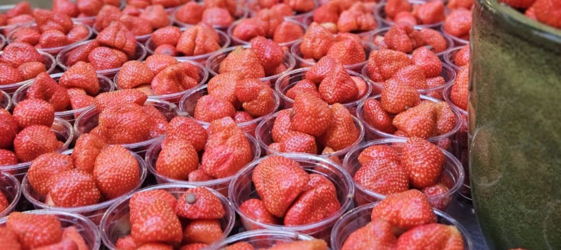 De ce căpșunile din supermarket nu mai au gustul de altădată. Cum au fost sacrificate aroma și dulceața pentru rezistență și transport