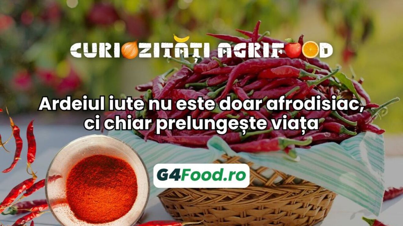 Curiozități agrifood – 22 august: Ardeiul iute nu este doar afrodisiac, ci chiar prelungește viața
