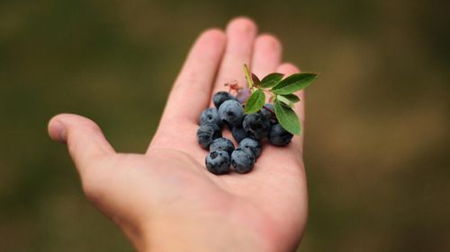 Alimentul nr.1 care ar putea preveni cancerul de colon / Un medic specializat în medicină regenerativă și longevitate spune că îl consumă zilnic pentru că este gustos, slab caloric și plin de nutrienți