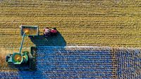 Comisia Europeană va folosi inteligența artificială pentru depistarea fraudelor alimentare și a riscurilor pentru sănătate