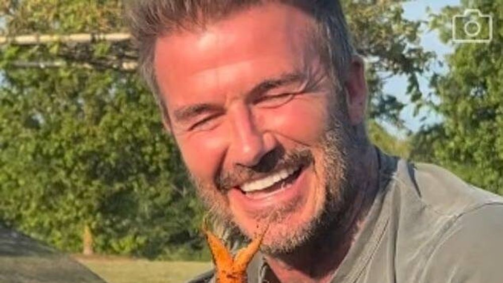 VIDEO | David Beckham s-a declarat dezamăgit de morcov, în schimb se laudă cu ceapa pe care a produs-o