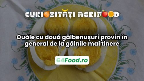 Curiozități agri-food 18 februarie: Ouăle cu două gălbenușuri provin în general de la găinile mai tinere