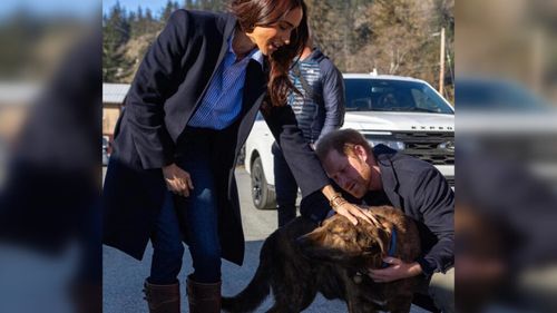 Meghan Markle ar putea vinde hrană de câini și semințe pentru păsări sub brandul ei de lux American Riviera Orchard