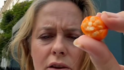 Alicia Silverstone și-a îngrijorat fanii după ce a gustat fructe otrăvitoare într-un videoclip TikTok: „Sunt vie și nevătămată”, a transmis ea ulterior