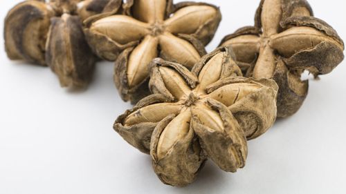 Sămânța în formă de stea despre care se vorbește tot mai mult / Este bogată în proteine și Omega-3 și ar putea deveni următorul superaliment