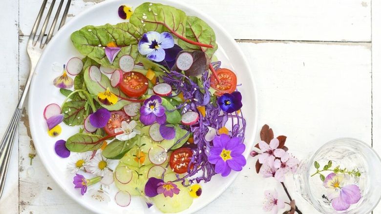 Flori comestibile pe masa de Florii? De ce nu? Sunt nutritive și aduc un nivel ridicat de rafinament la masă / Chef Cătălin Petrescu: „Sunt apreciate atât pentru valoarea lor nutritivă, cât și pentru aspect”