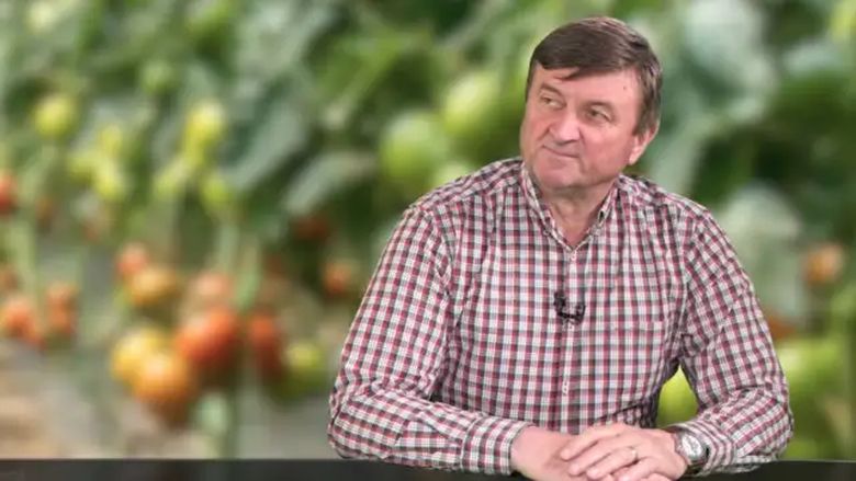 De la pompă la raft | Criza carburanților scumpește verdețurile din piețe și supermerketuri / Legumicultor: „Înainte vindeam cu 2.2 lei legătura. Azi 3 lei este oferta noastră”