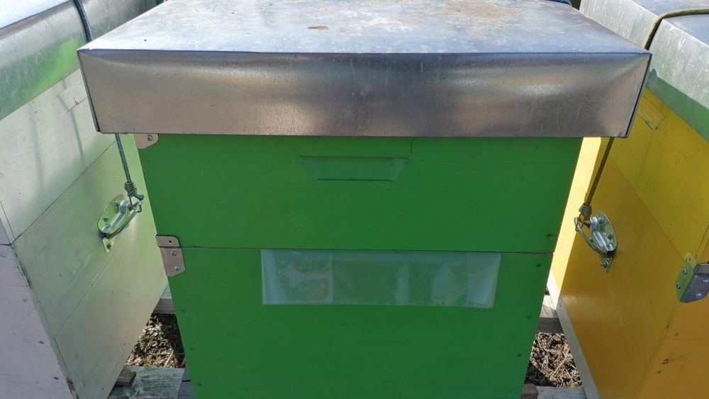 Formula AS: ”România este a doua putere apicolă din Uniunea Europeană”