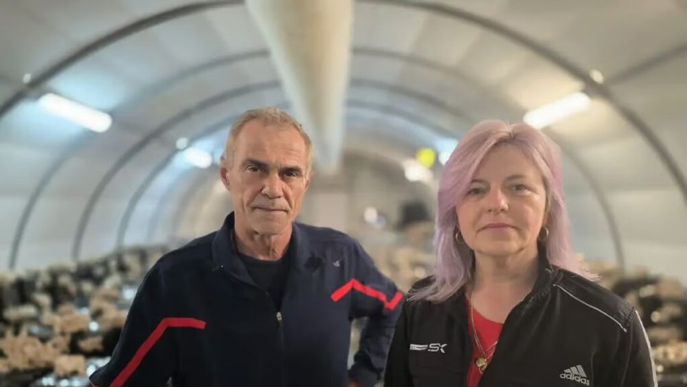 Afacerea pe care a pariat o familie din Alba, după 20 de ani petrecuți în Italia: Cultivă ciuperci Pleurotus / Producția se ridică la aproape 50 de tone anual / Marin Jurj: „Este mai puțin de lucru decât la celelalte ciuperci, ca la Champignon, de exemplu”