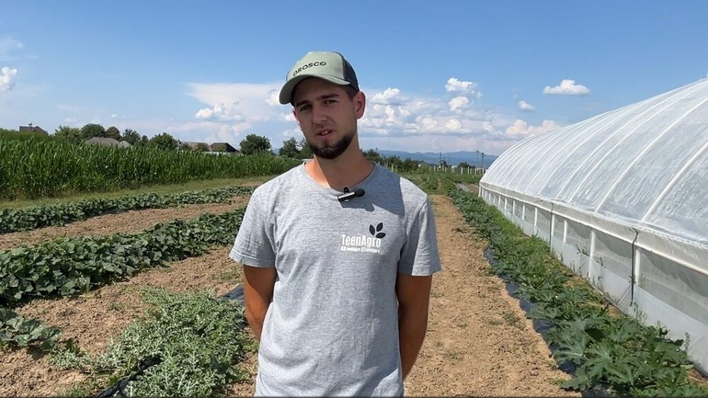 VIDEO | Dacian Tînc, un tânăr de doar 23 de ani din Baia Mare, a transformat un teren moștenit de la bunici într-o afacere / Din greșeli, a învățat cum să facă legumicultură profitabilă /„Când am început să lucrez mai mult la fertilizare, am început să am plante mai sănătoase și să nu mai am nevoie de pesticide”