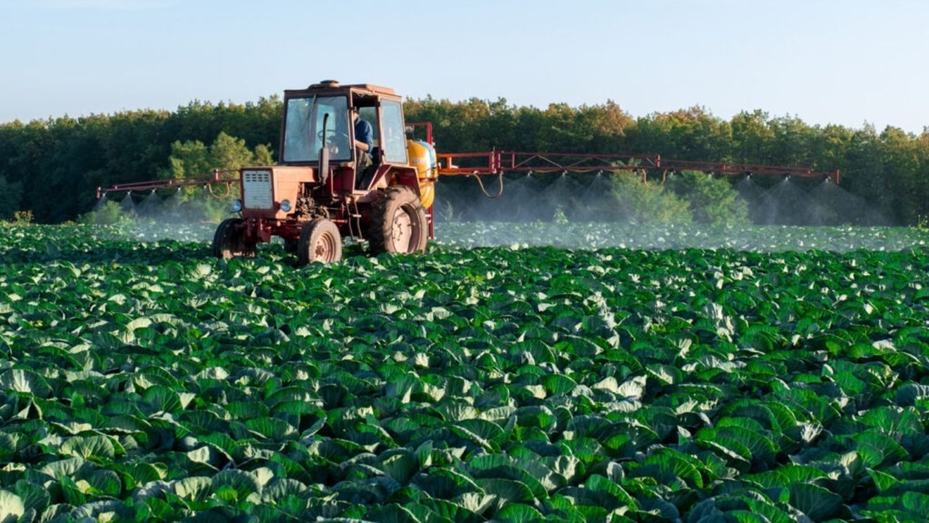 Regenagri lansează un program de compensare a emisiilor de carbon pentru lanțul de aprovizionare agroalimentar / Este primul program global de acest fel