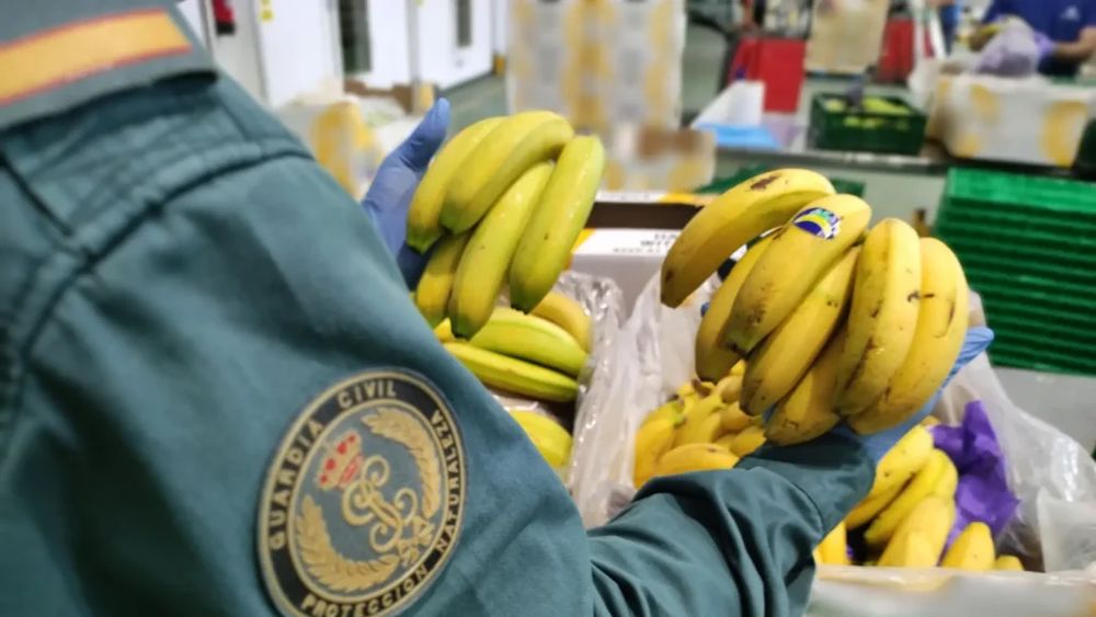 FOTO-VIDEO | Produse alimentare contrafăcute şi de calitate slabă, în valoare de 95 de milioane de euro, ridicate într-o operaţiune globală, coordonată de Europol 