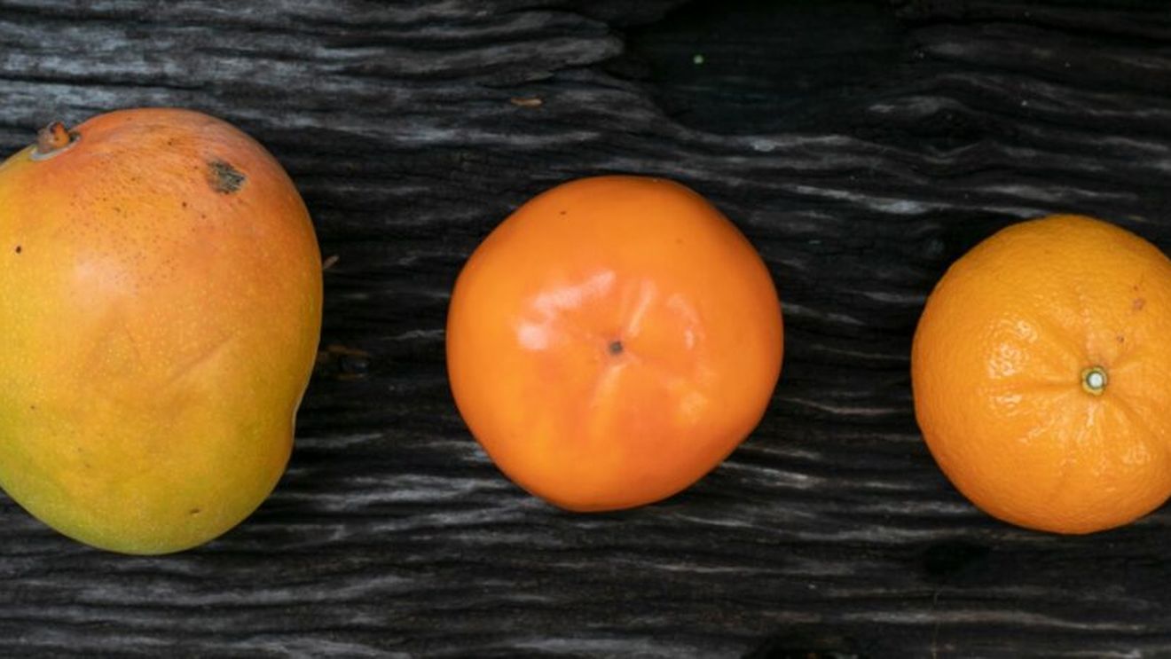 Guvernul Spaniei împinge controversata sa atitudine contra Israelului la nivelul comerțului cu alimente/ Firmele care realizează astfel de importuri din „teritoriile ilegal ocupate de Israel” vor trebui să le eticheteze cu explicația „provenite din colonii israeliene”, anunță Ministrul Drepturilor Sociale