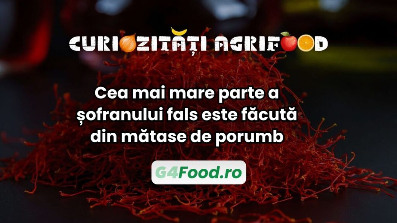 Curiozitate agri-food: Cea mai mare parte a șofranului fals este făcută din mătase de porumb / Prețul uriaș al condimentului a dus la apariția falsurilor / Cum deosebești cele două tipuri de șofran