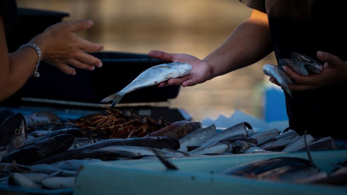 Peştele, nelipsit de pe masa de Paşte în Deltă / Reţeta, spusă „dintr-o suflare”, a unei plachii din peşte