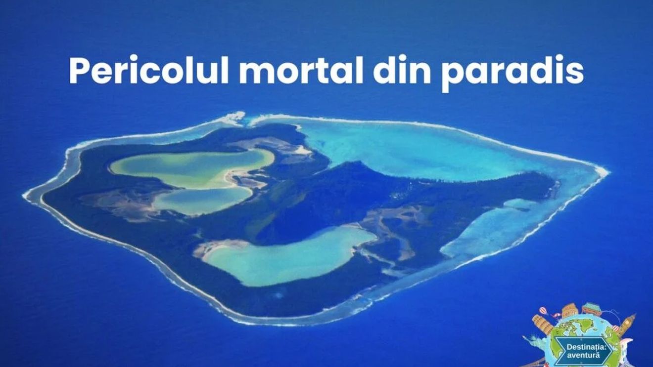VIDEO: Polinezia Franceză, locul în care mâncarea nu e doar hrană, ci o experiență culturală. Ce mănâncă locuitorii din Tahiti și Bora Bora, acolo unde mesele se iau sub cerul liber, iar peștele proaspăt și fructele tropicale spun povestea unui stil de viață relaxat și autentic
