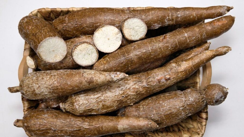 Institute de cercetări din Insulele Canare și Cuba studiază modalitatea de a folosi yuca pentru hrana animalelor