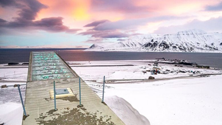 „Grânarul lumii” nu mai are apă potabilă. Schimbările climatice afectează grav arhipelagul Svalbard și odată cu el și Banca Globală de Semințe