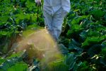 Comisia Europeană recunoaște blocajele din autorizarea pesticidelor și pregătește reguli mai stricte / Oficial: „Sistemul trebuie ajustat pentru a funcționa mai bine”