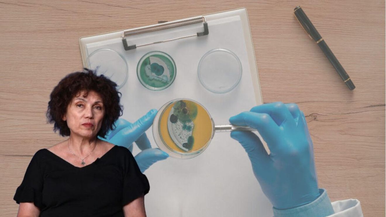 VIDEO | Cum pot fi depistate pesticidele contrafăcute. Carmen Botez, director executiv AIPROM: E greu să-i spui fermierului să nu cumpere la un preț mic. Sunt un pericol pentru toată lumea