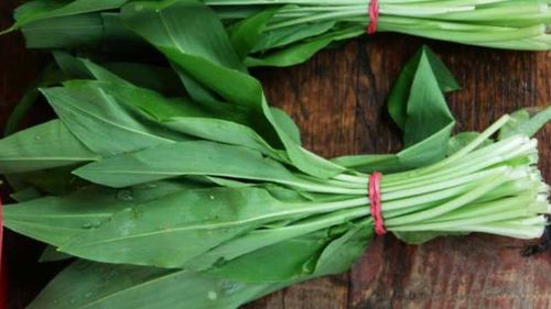 Mai mulţi hoţi au fost reţinuţi în estul Germaniei, după ce au furat 100 de kilograme de bulbi de leurdă/ Planta este, extrem de des, furată din zone protejate și vândută apoi firmelor din sectorul de catering