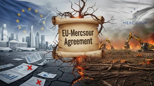 Secretarul de stat Violeta Mușat spune că România susţine acordul UE-Mercosur, dar cere garanţii ferme pentru fermieri 