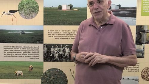 VIDEO | Cultivarea orezului. Terenul se nivelează cu ajutorul laserului și zeci de mii de ha de teren se transformă în suprafață de apă în doar 48 de ore