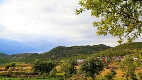 Parlamentul European: Consolidarea zonelor rurale, esențială pentru viitorul UE. Legislavitul comunitar solicită CE stimulente și un plan de acțiune pentru combaterea depopulării