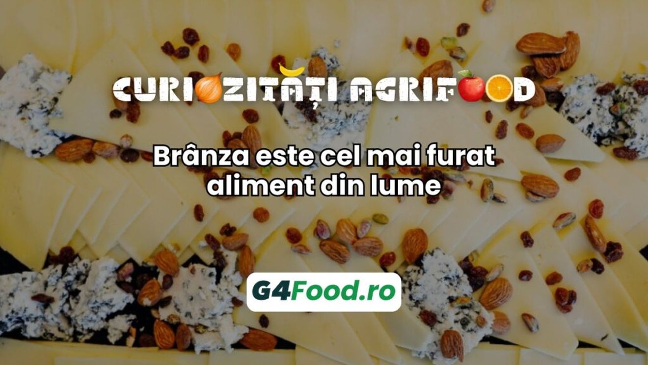 Curiozități agrifood - 28 august: Brânza este cel mai furat aliment din lume