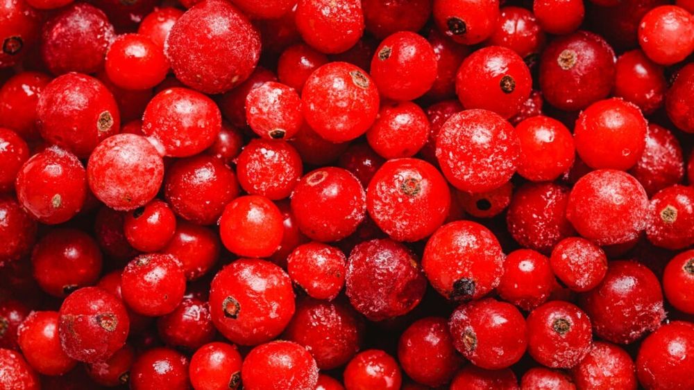 Departamentul de Agricultură al SUA folosește inteligența artificială pentru a îmbunătăți tehnicile de recoltare a merișoarelor / Proiectul urmărește creșterea productivității fructelor, sporirea rezistenței la boli și adaptarea culturilor la fluctuațiile climatice