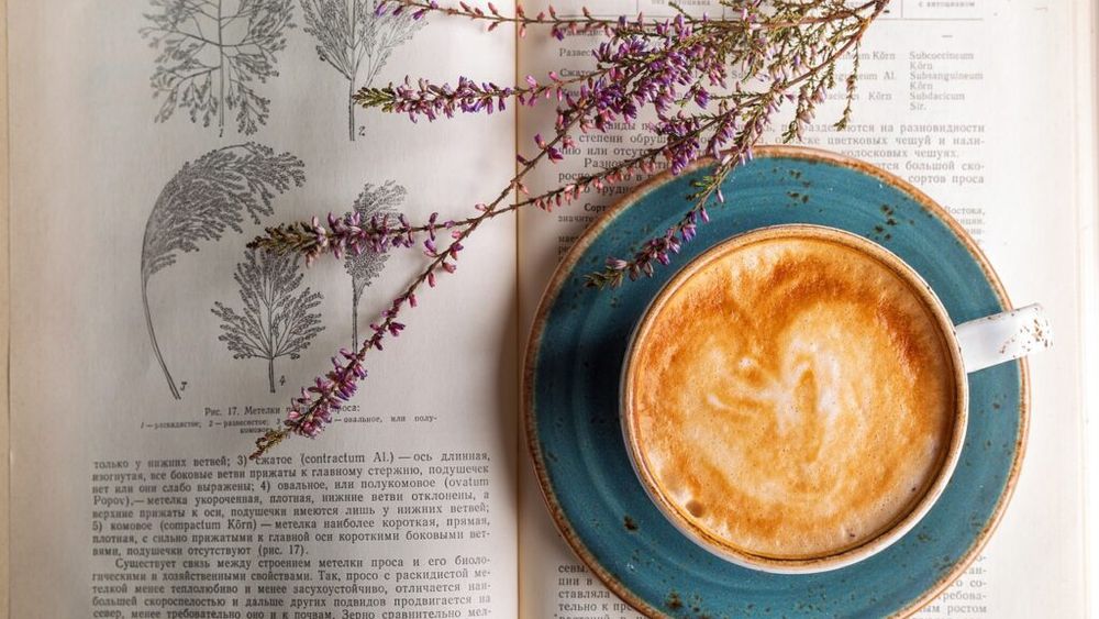 O cafea cu aromă de castane, într-o duminică de toamnă târzie. Nimic complicat, doar puțină făină de castane rumenită în cuptor