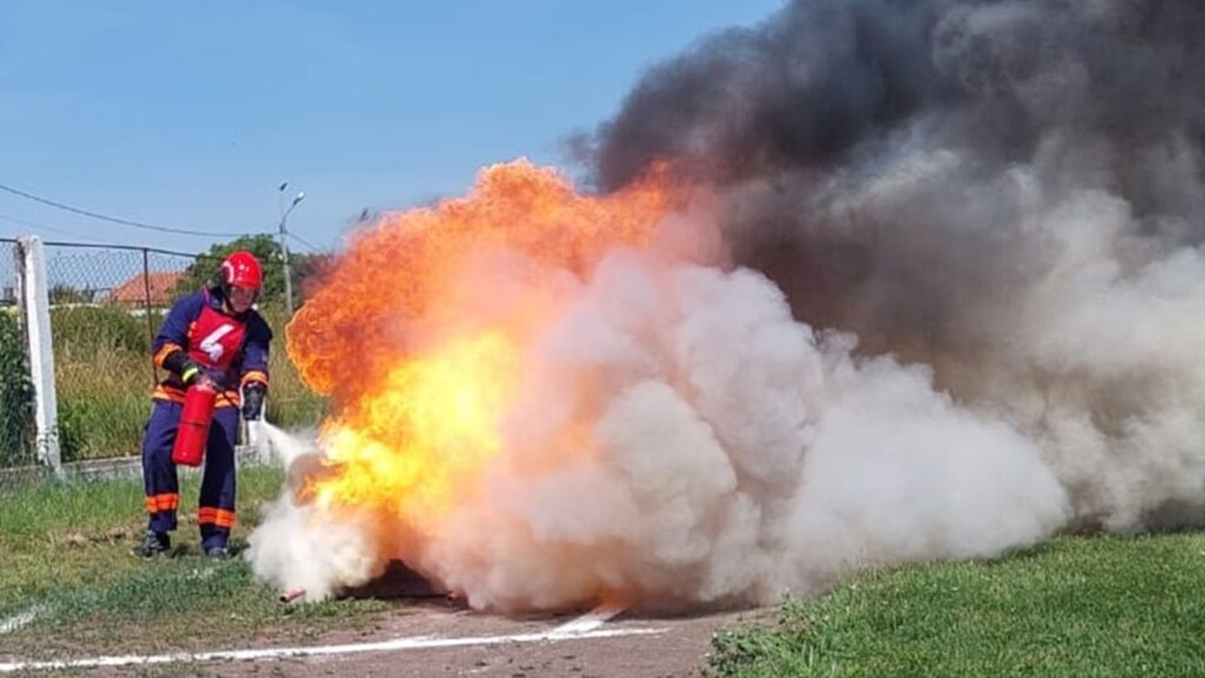 Angajaţii unei ferme din Arad au incendiat cadavre de bovine într-o groapă/ Anchetă penală și amendă de 24.000 lei