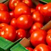 Cererea pentru roșiile românești, în creștere: Un mare retailer din România anunță că va avea la raft doar tomate de la producători locali