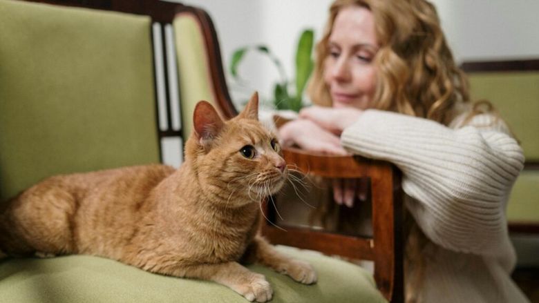 Japonia anchetează cafenelele cu animale. Autoritățile verifică cum sunt ținute bufnițele, aricii și capibarele
