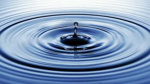 Apa, tot mai scumpă: efectele climatice amenință stocurile de pește și siguranța alimentară / Directorul ştiinţific al Institutului Naţional de Cercetare-Dezvoltare Delta Dunării: Apa devine o monedă