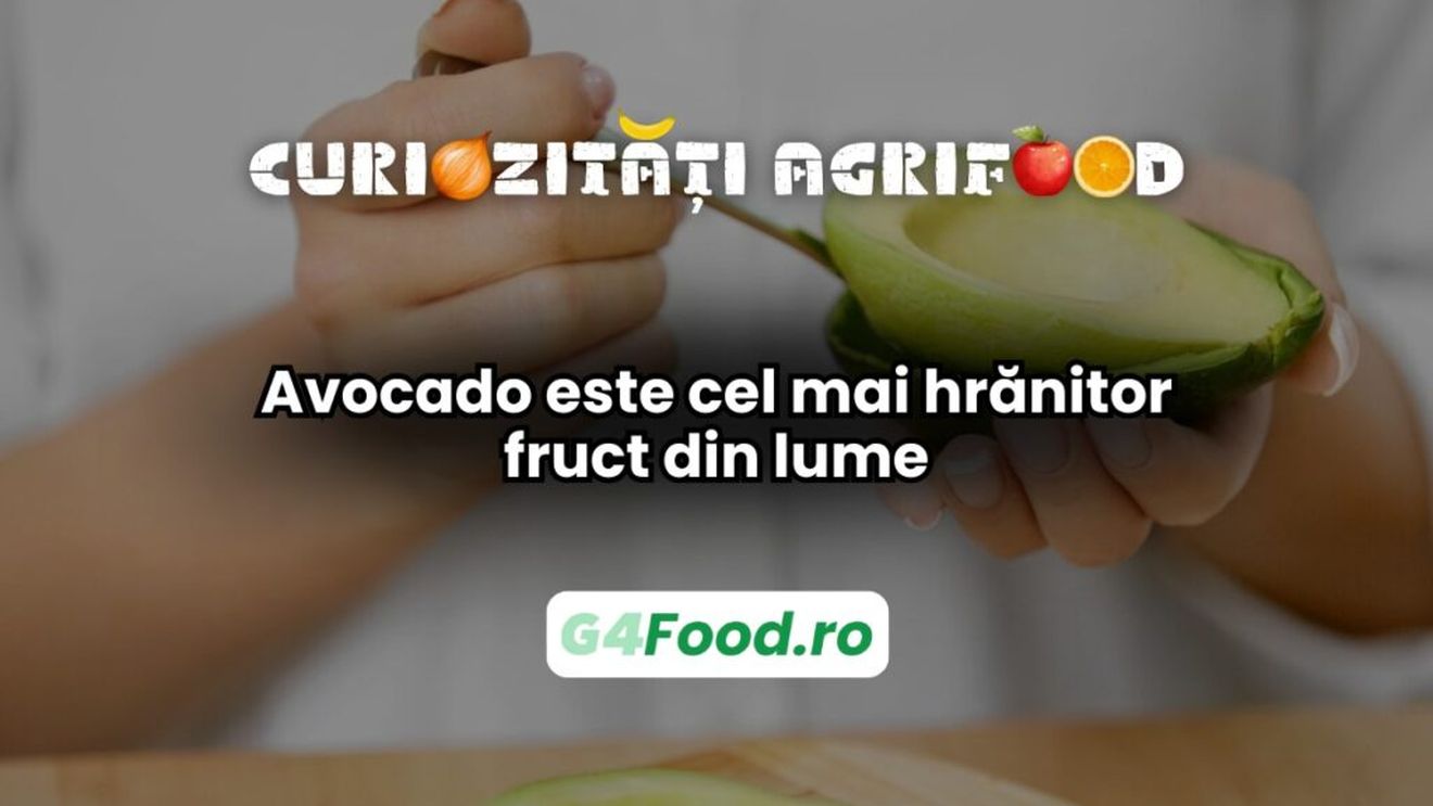 Curiozitate agri-food 12 martie: Avocado este unul dintre cele mai hrănitoare fructe din lume / Furnizează aproximativ 250 de calorii la 100 de grame