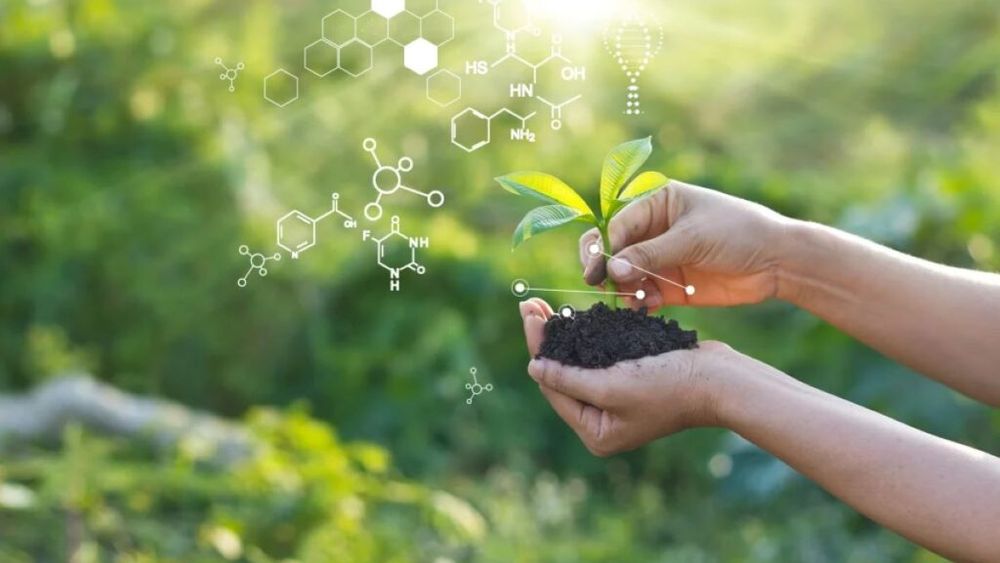 Creştere semnificativă a numărului producătorilor ecologici în Bulgaria/ Aproape 4% din terenurile agricole ale ţării sunt certificate pentru agricultura organică