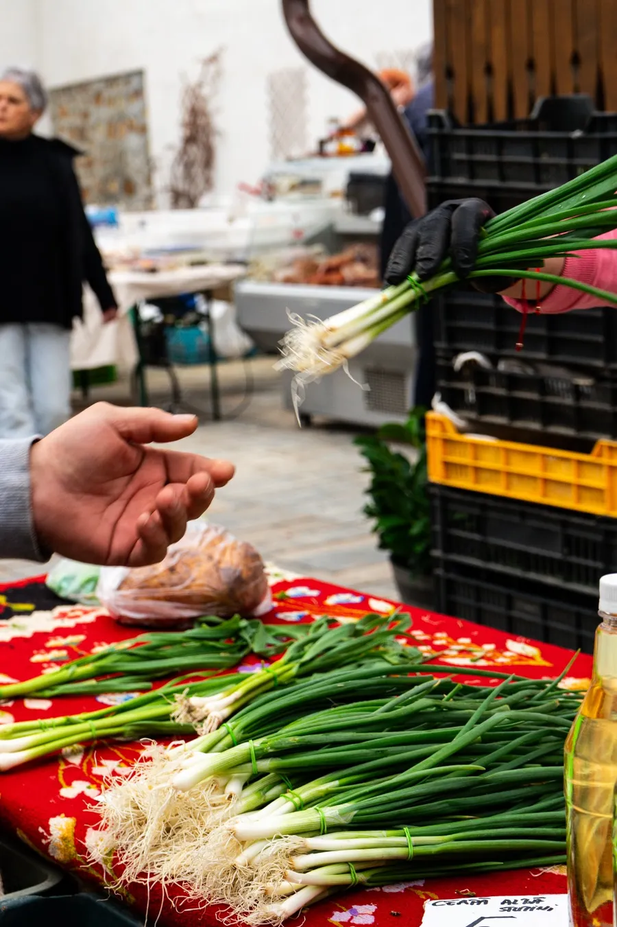 Rotterdam-World- Farmers-Markets-Coalition-2026