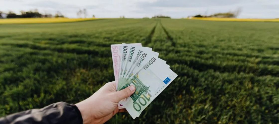 APIA începe plățile în avans pentru Campania 2026 din 16 octombrie / Ajutoarele pentru secetă, porcine și bovine vor fi achitate până la finalul anului