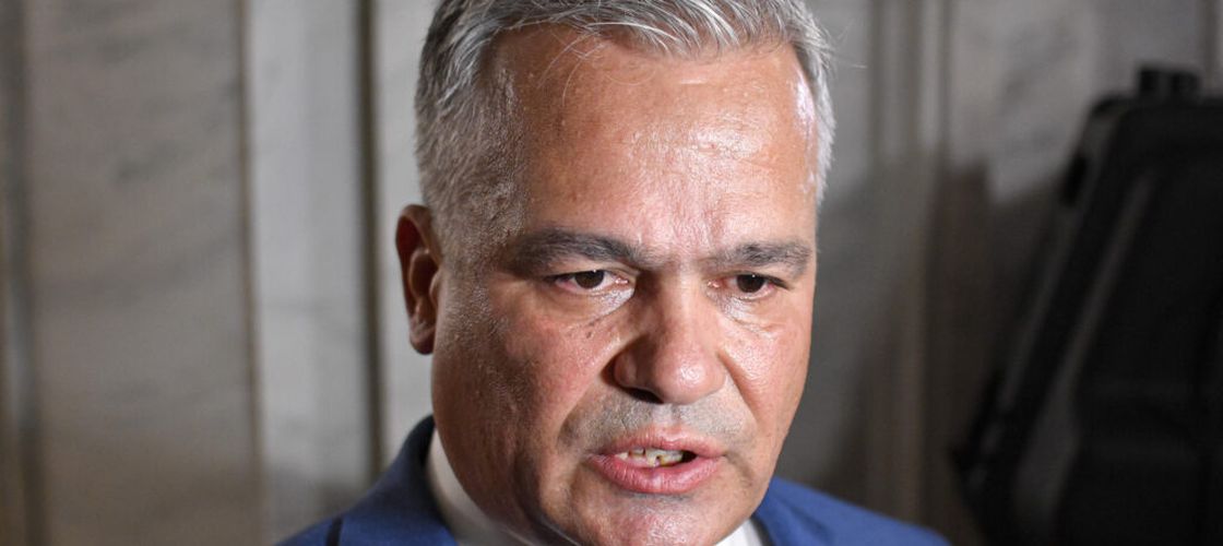 Cum arată programul de guvernare al lui Adrian Veștea, la capitolul agricultură: Modernizarea irigațiilor și sprijin pentru procesare, printre priorități (surse)