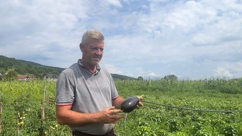 VIDEO | Viața între munca la câmp și microferma avicolă / Românul care a lăsat străinătatea pentru hrana curată de acasă: „Vreau să învățăm lumea să mănânce ceva sănătos”