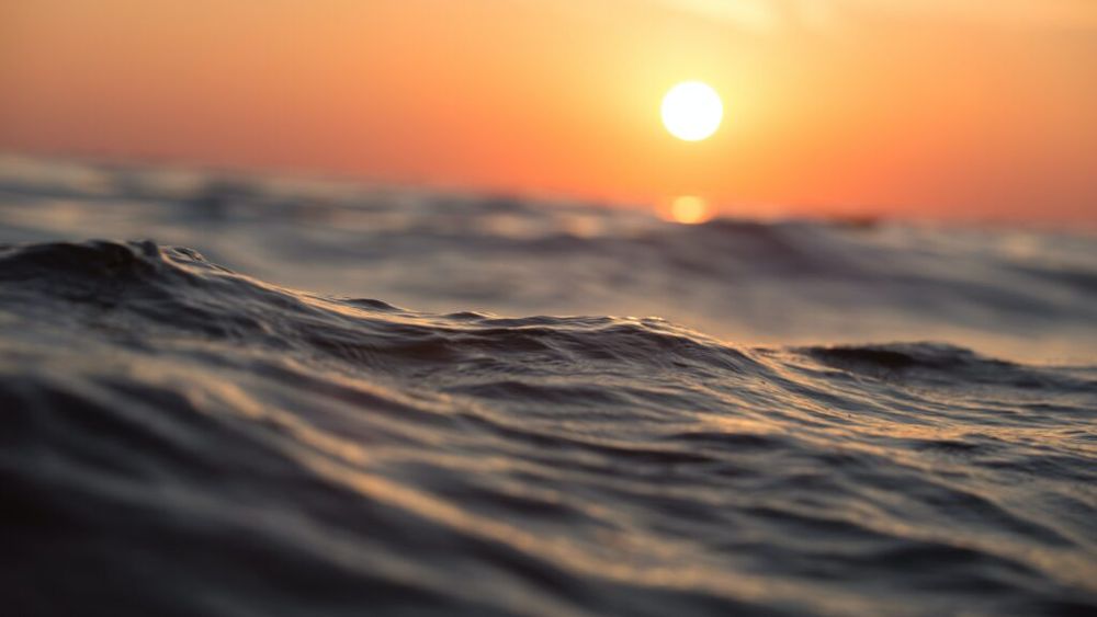 A fost finalizată constituirea pajiştilor de iarbă de mare şi crearea de recife artificiale pentru stimularea altor specii,  ce vizează refacerea echilibrului ecologic, anunță Administraţia Bazinală de Apă Dobrogea-Litoral