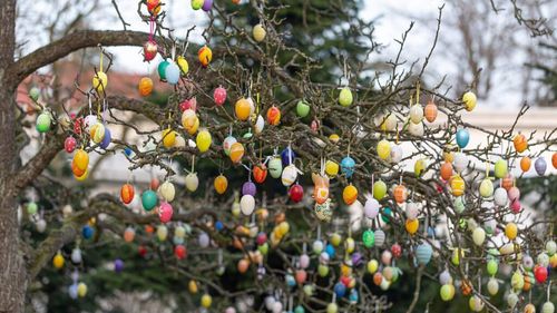 De la decorarea ramurilor și arbuștilor cu ouă la focul de Paște: 10 tradiții pascale fascinante din Germania