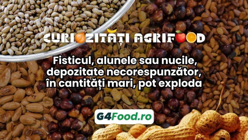 Curiozități agrifood - 30 septembrie: Fisticul, alunele sau nucile, depozitate necorespunzător, în cantități mari, pot exploda